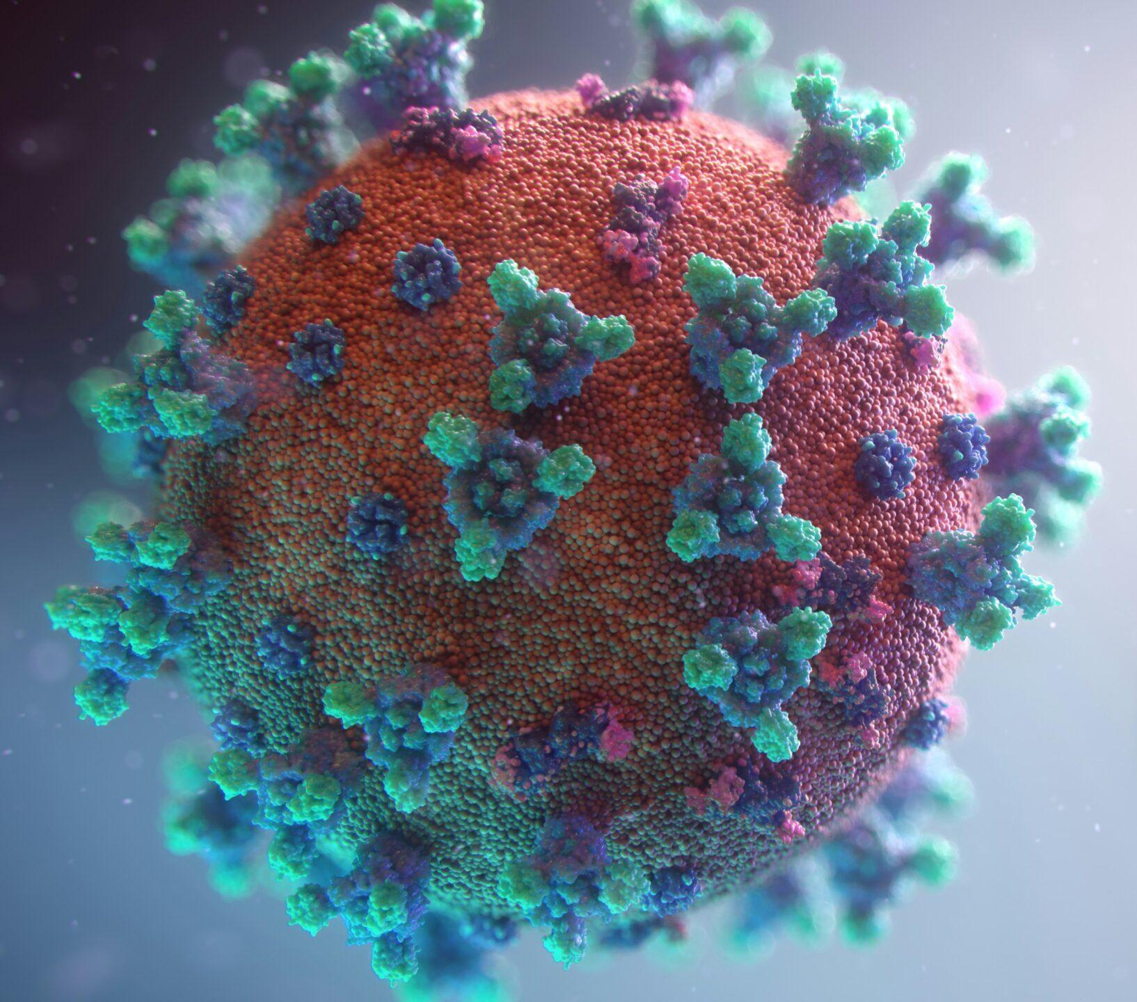 Visualization of the coronavirus causing COVID-19