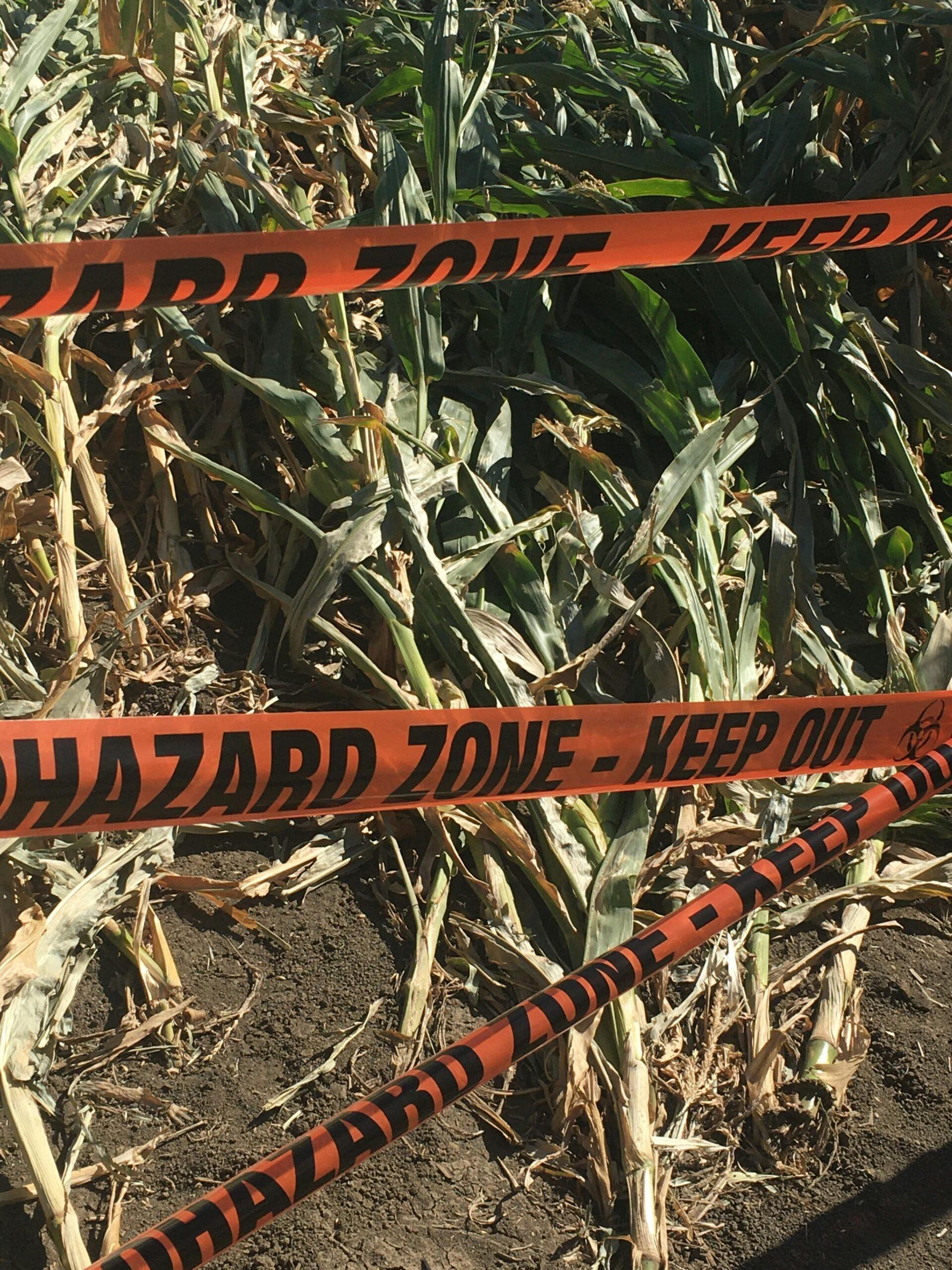hazard zone